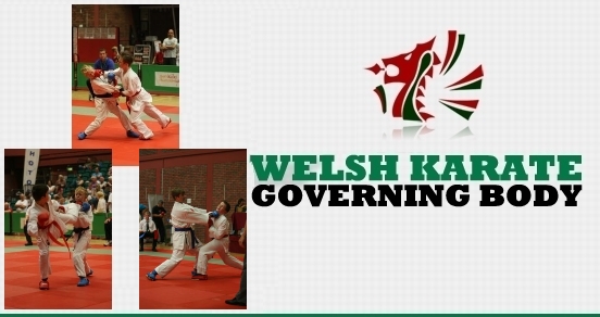 Welsh Karate Welsh Karate