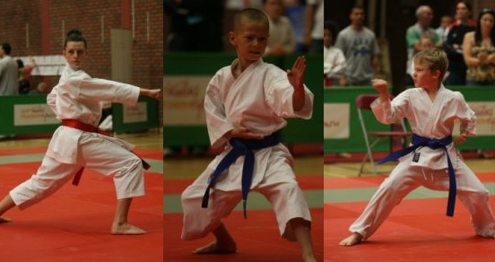 Welsh Karate Welsh Karate