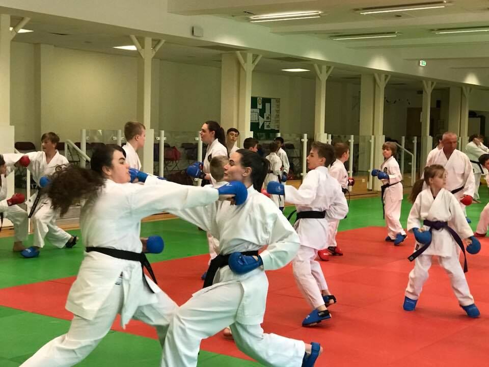 Squad Kumite Session