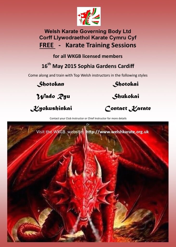 WKGB Free Karate Sessions