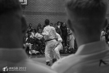 wkgb_mwcc2022_480.jpg