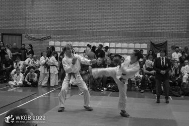 wkgb_mwcc2022_490.jpg
