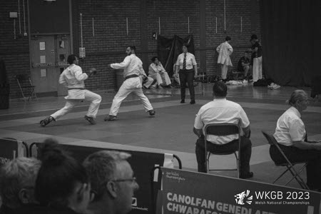 wkgb_wcc2023_350.jpg